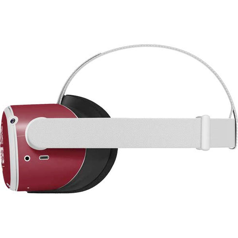 NHL Arizona Coyotes Lineup Oculus Quest 2 Skin